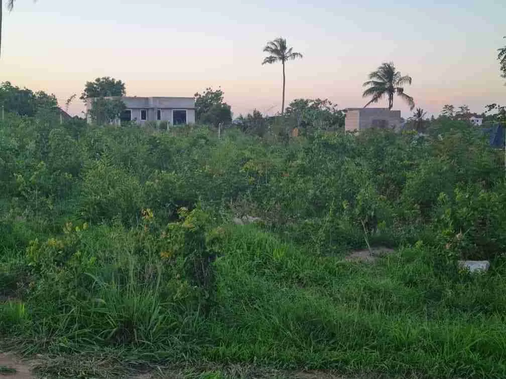 Plot B-008 in Boss Emma Chalinze Junction