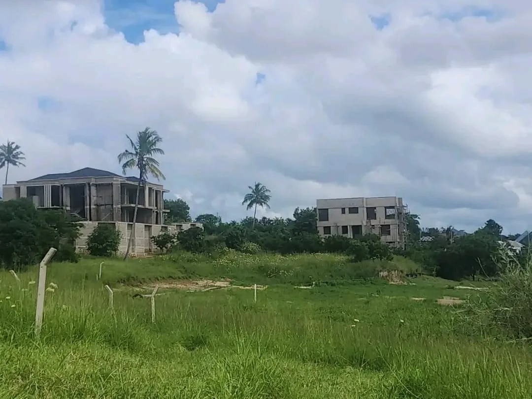 Plot B-009 photo 2